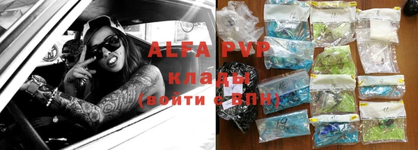 крисы Алексин