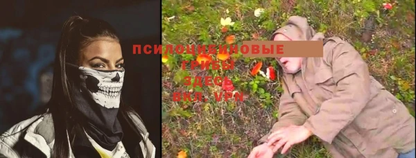 гидропоника Алзамай