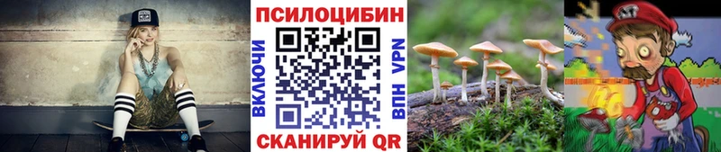 Галлюциногенные грибы мицелий наркошоп Тейково