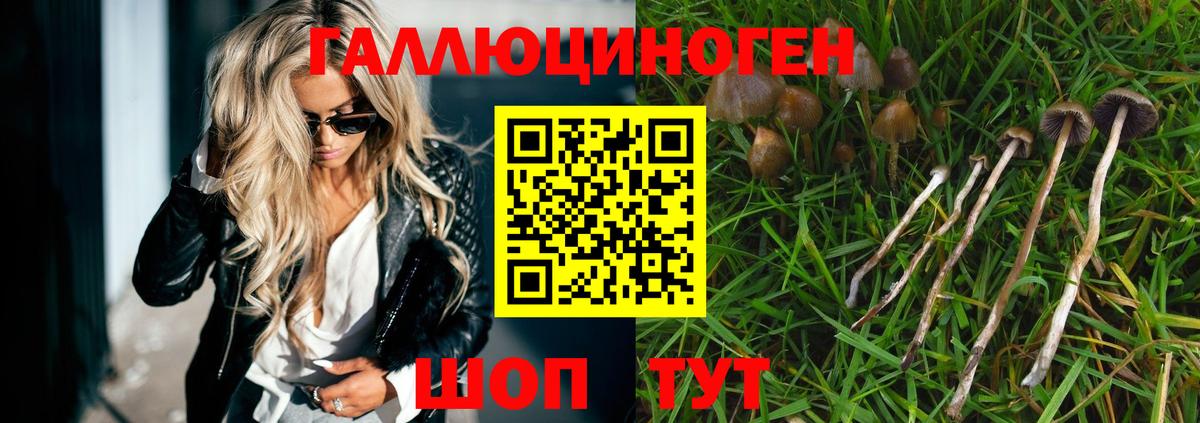 Псилоцибиновые грибы прущие грибы  Вход с VPN  Тейково 