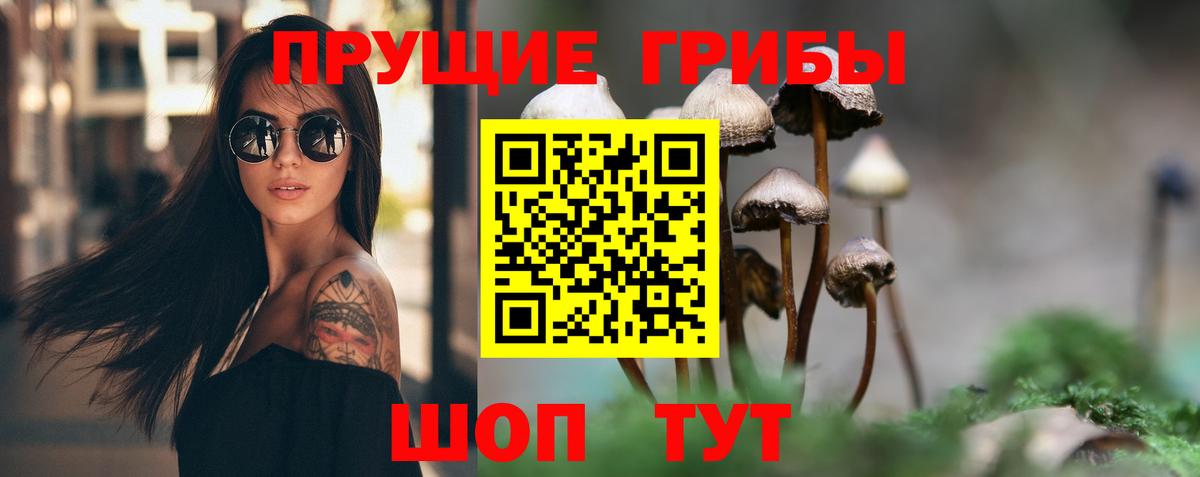 Псилоцибиновые грибы MAGIC MUSHROOMS Тейково