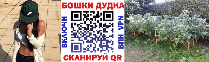 Каннабис SATIVA & INDICA  хочу   Тейково 